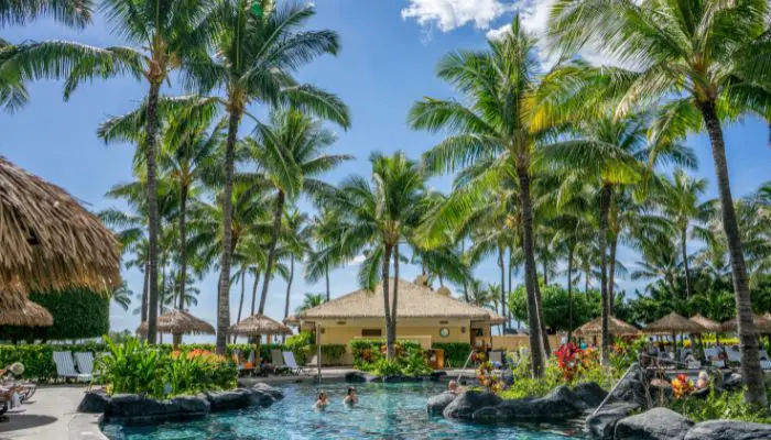 Best Time to Visit Hawaii? (Don’t Miss The Chance)
