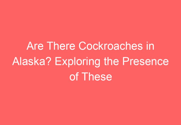 Are There Cockroaches in Alaska? Exploring the Presence of These Insects in the Northernmost State
