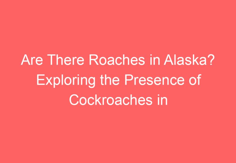 Are There Roaches in Alaska? Exploring the Presence of Cockroaches in the Last Frontier