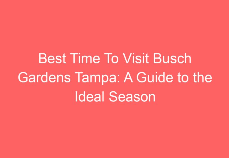 Best Time To Visit Busch Gardens Tampa: A Guide to the Ideal Season for Your Trip
