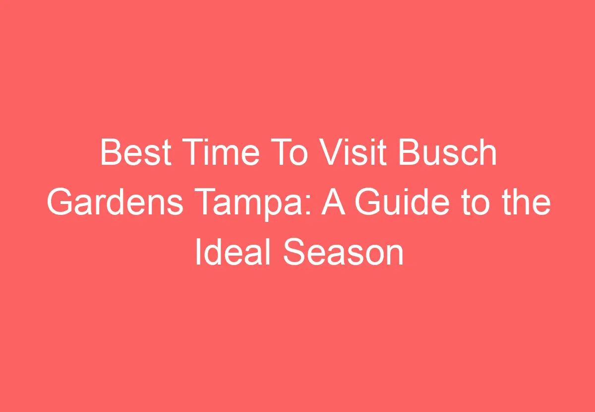 Best Time To Visit Busch Gardens Tampa: A Guide To The Ideal Season For 