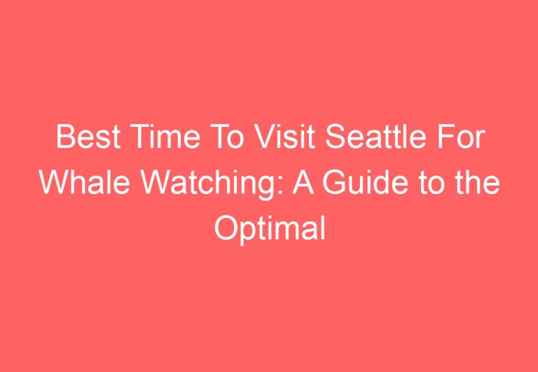 Best Time To Visit Seattle For Whale Watching: A Guide to the Optimal Season