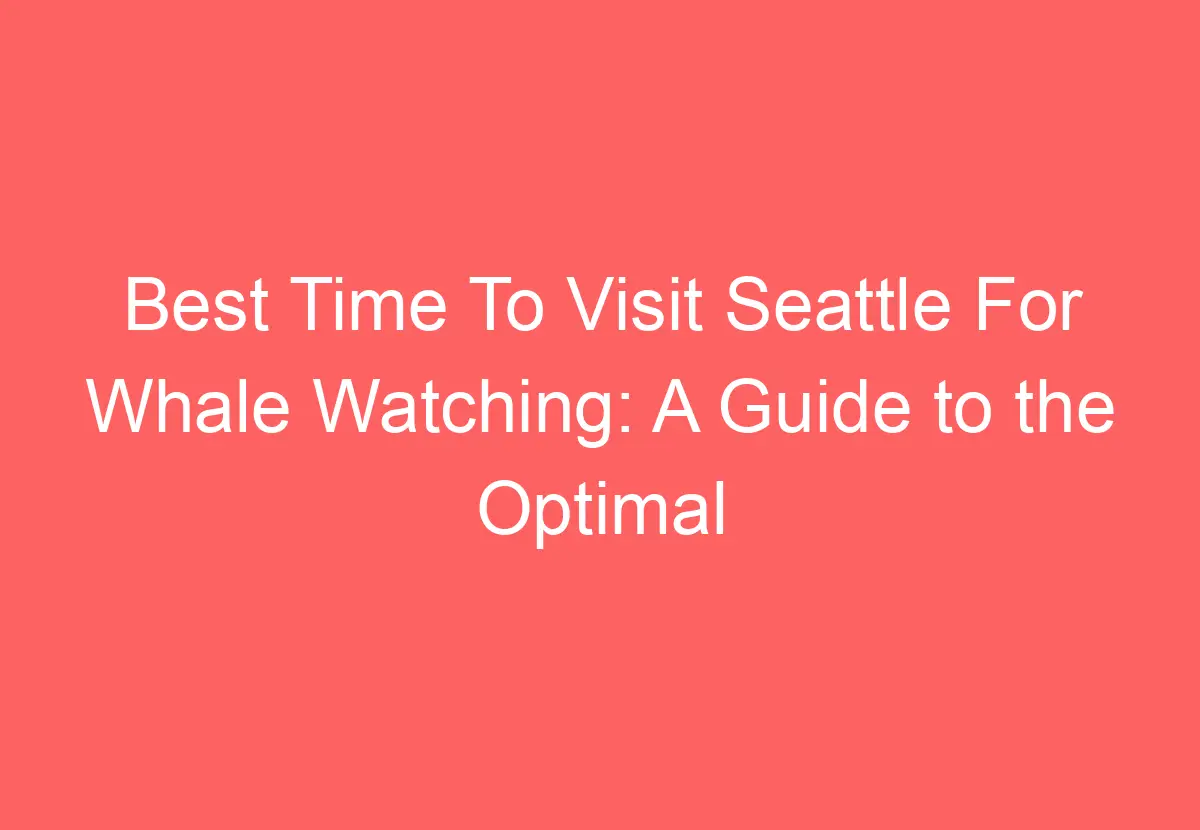 Best Time To Visit Seattle For Whale Watching: A Guide to the Optimal