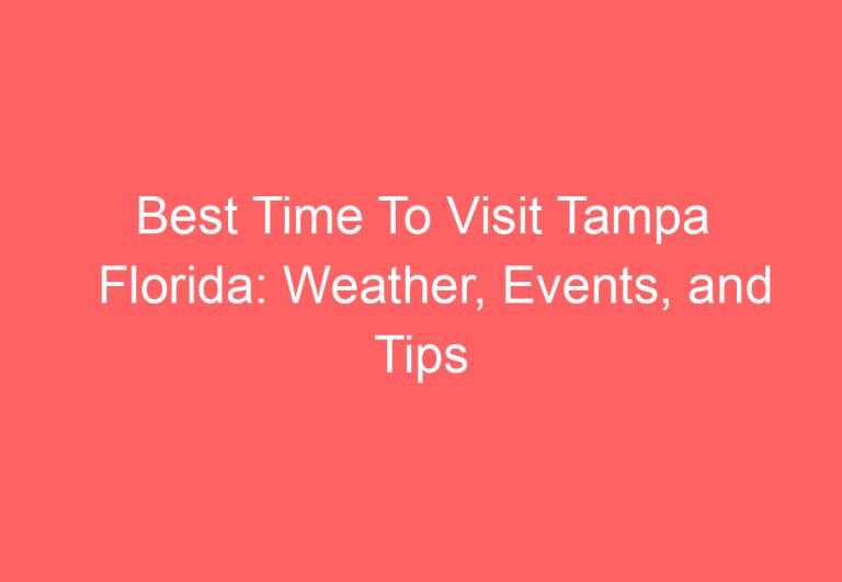 Best Time To Visit Tampa Florida: Weather, Events, and Tips