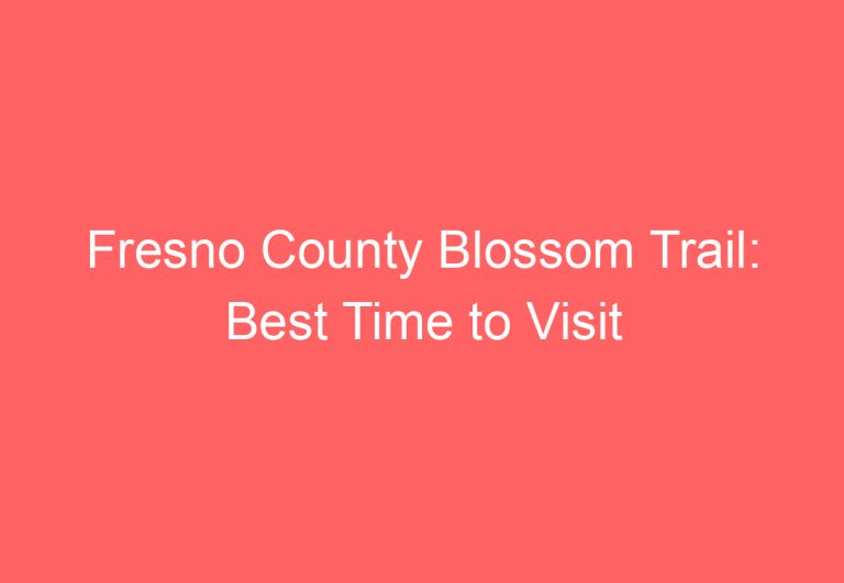 Fresno County Blossom Trail: Best Time to Visit