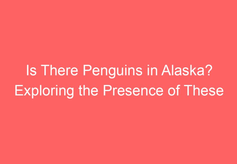 Is There Penguins in Alaska? Exploring the Presence of These Flightless Birds in the Northernmost State