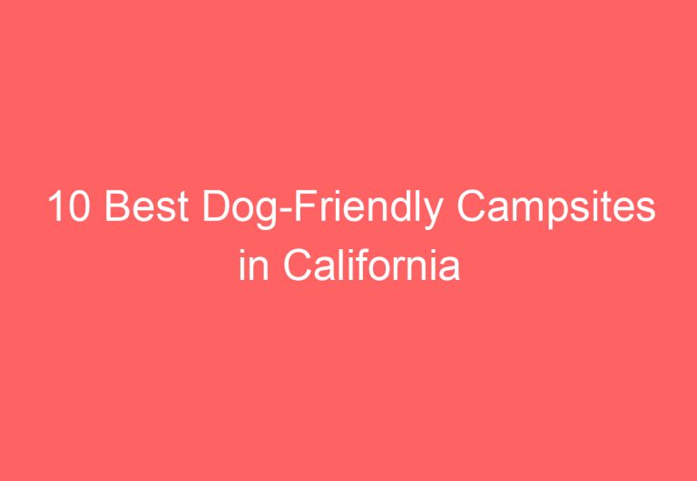 10 Best Dog-Friendly Campsites in California