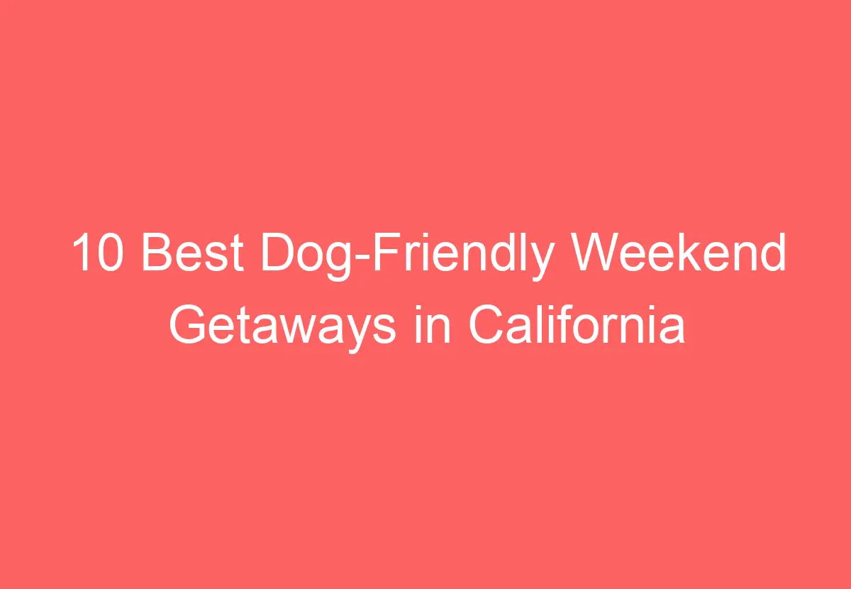 10 Best Dog-Friendly Weekend Getaways in California - HowTravelPlan