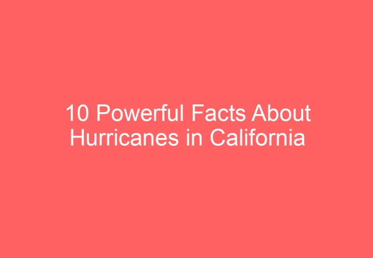 10 Powerful Facts About Hurricanes in California