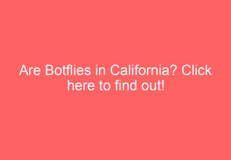 Are Botflies in California? Click here to find out!