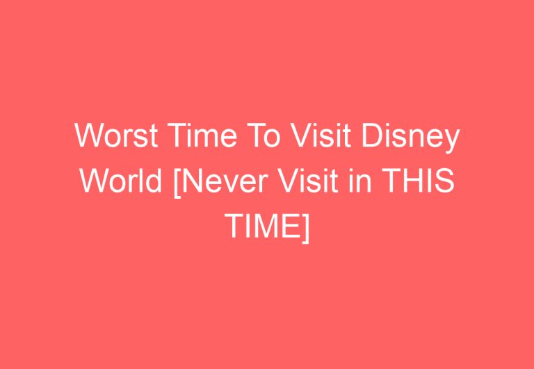 Worst Time To Visit Disney World [Never Visit in THIS TIME]