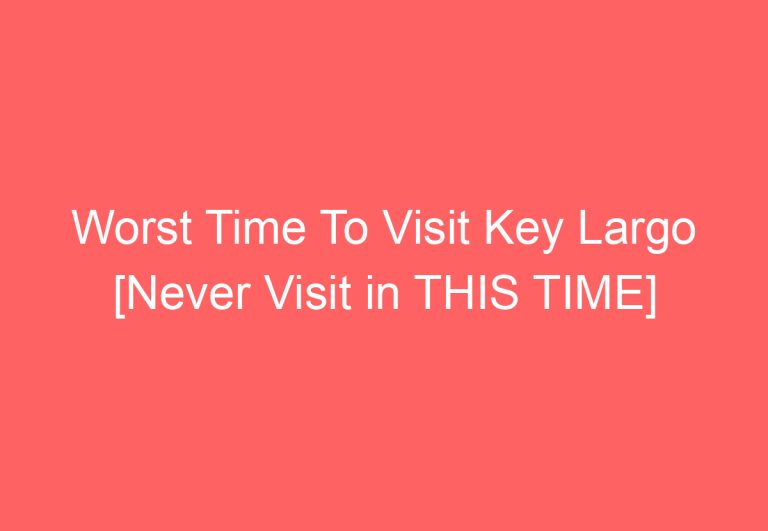 Worst Time To Visit Key Largo [Never Visit in THIS TIME]