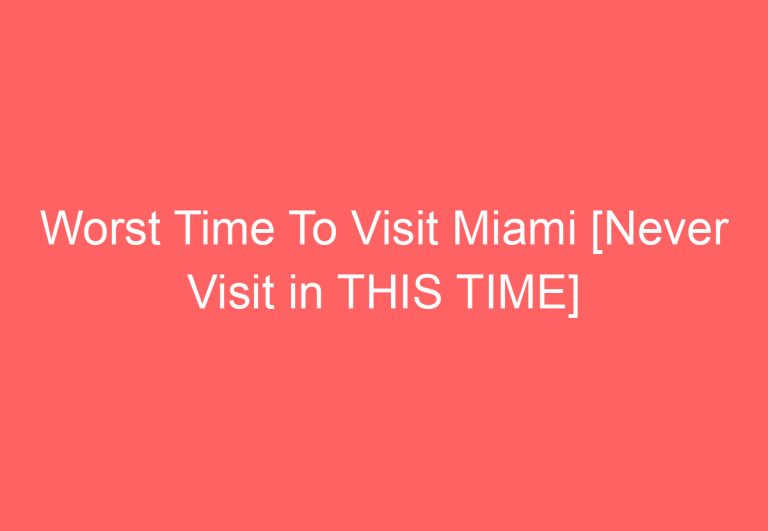 Worst Time To Visit Miami [Never Visit in THIS TIME]
