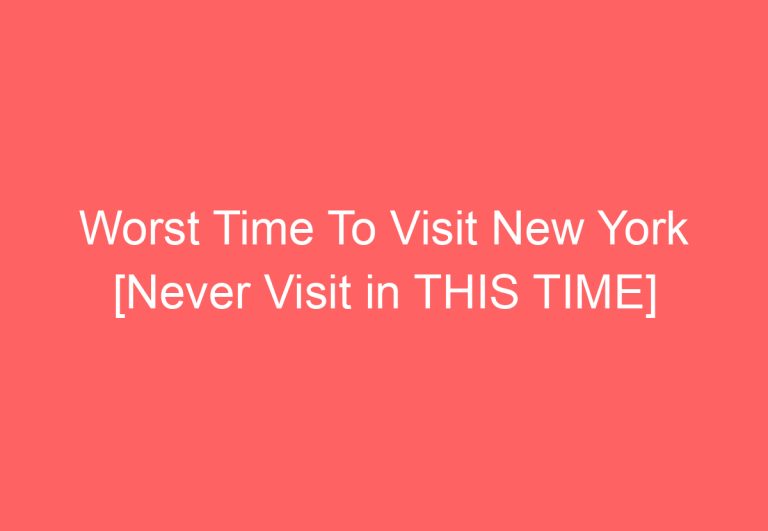 Worst Time To Visit New York [Never Visit in THIS TIME]
