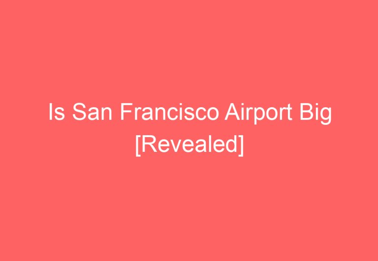 Is San Francisco Airport Big [Revealed]