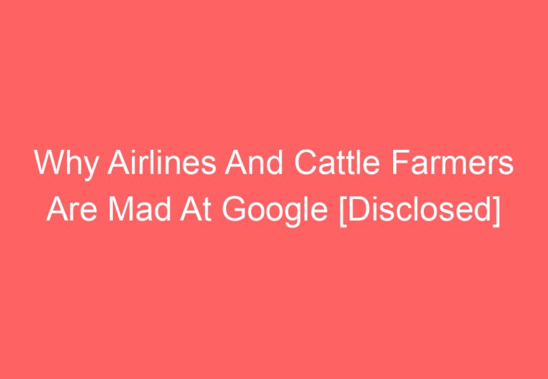 Why Airlines And Cattle Farmers Are Mad At Google [Disclosed]