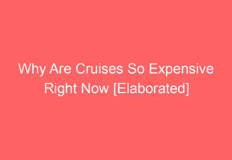 Why Are Cruises So Expensive Right Now [Elaborated]