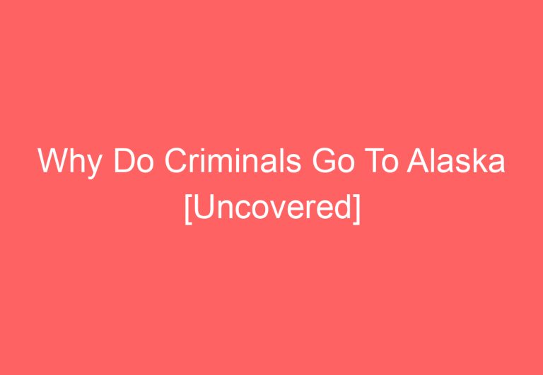 Why Do Criminals Go To Alaska [Uncovered]