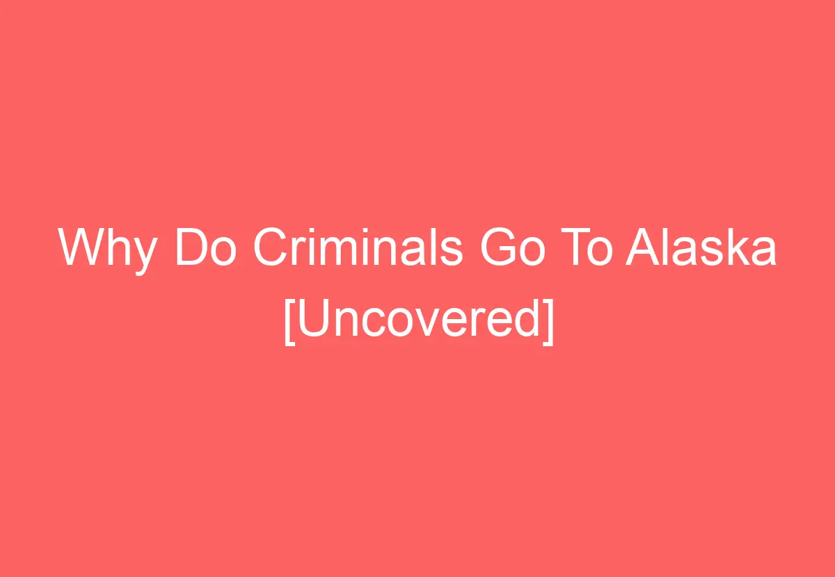 Why Do Criminals Go To Alaska [Uncovered] HowTravelPlan