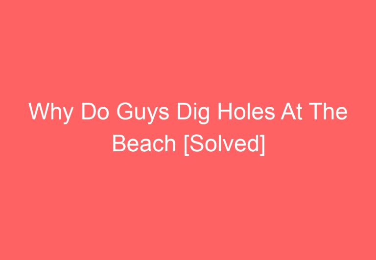 Why Do Guys Dig Holes At The Beach [Solved]